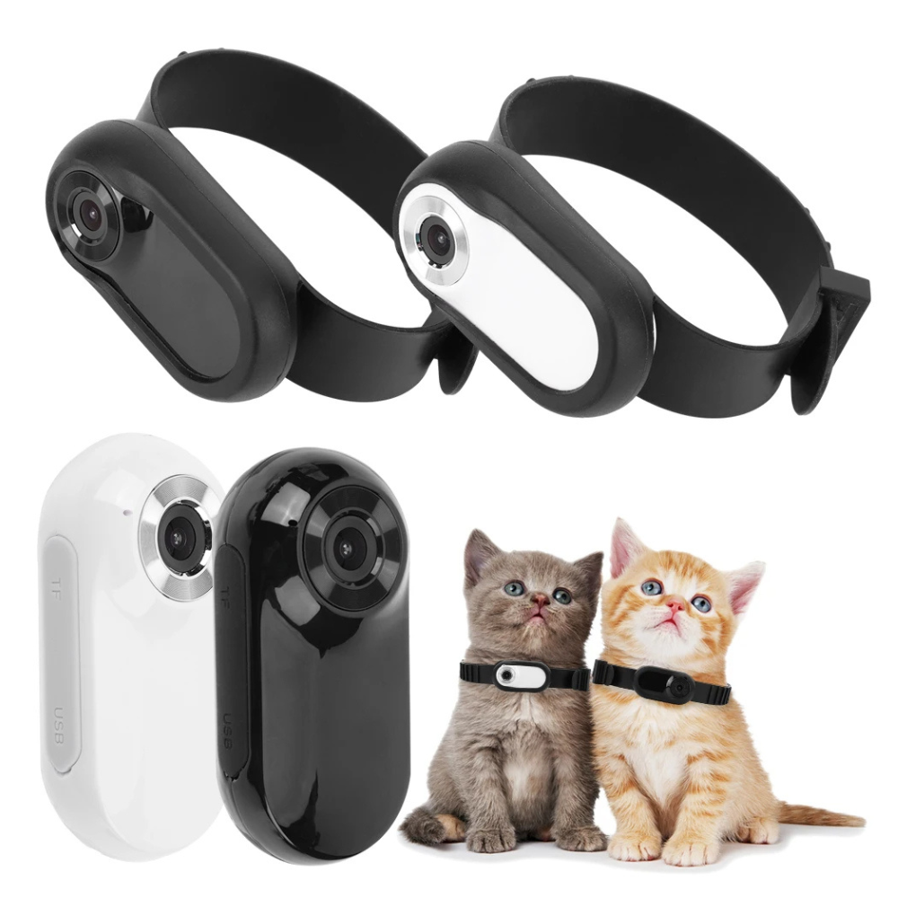 CAMERA COLLAR FOR CATS & DOGS
