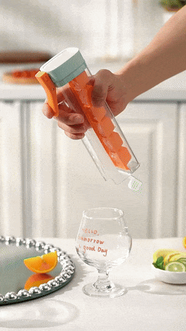 ICE CUBE MAKER HANDLE TRAY