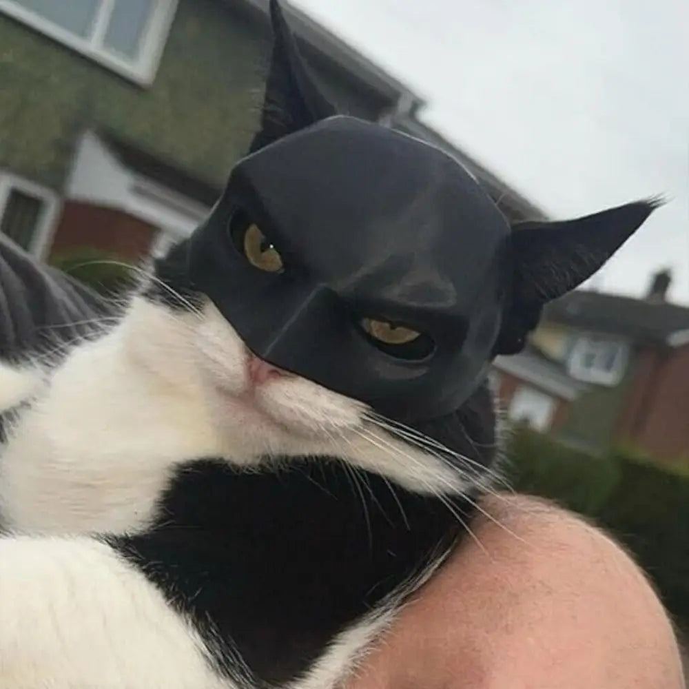 CAT BAT MASK