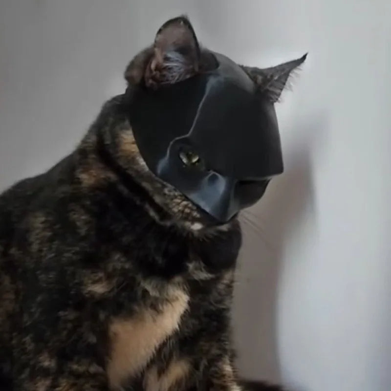 CAT BAT MASK