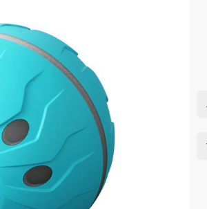Miniature Automatic Pet Ball
