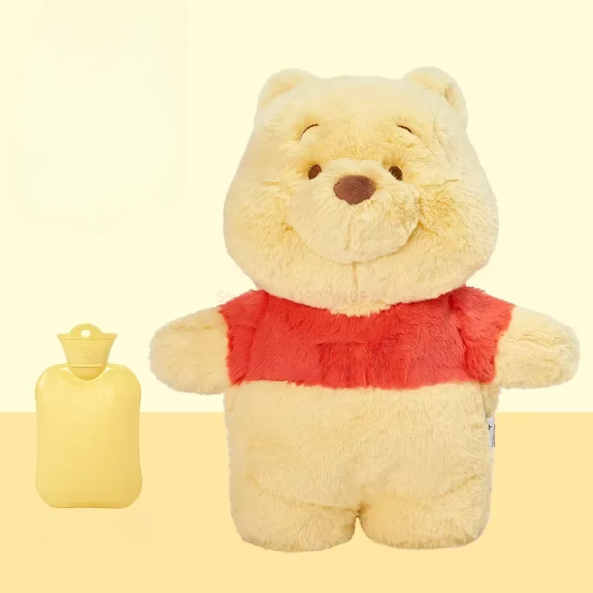 PLUSH BEAR WITH HOT WATER BAG
