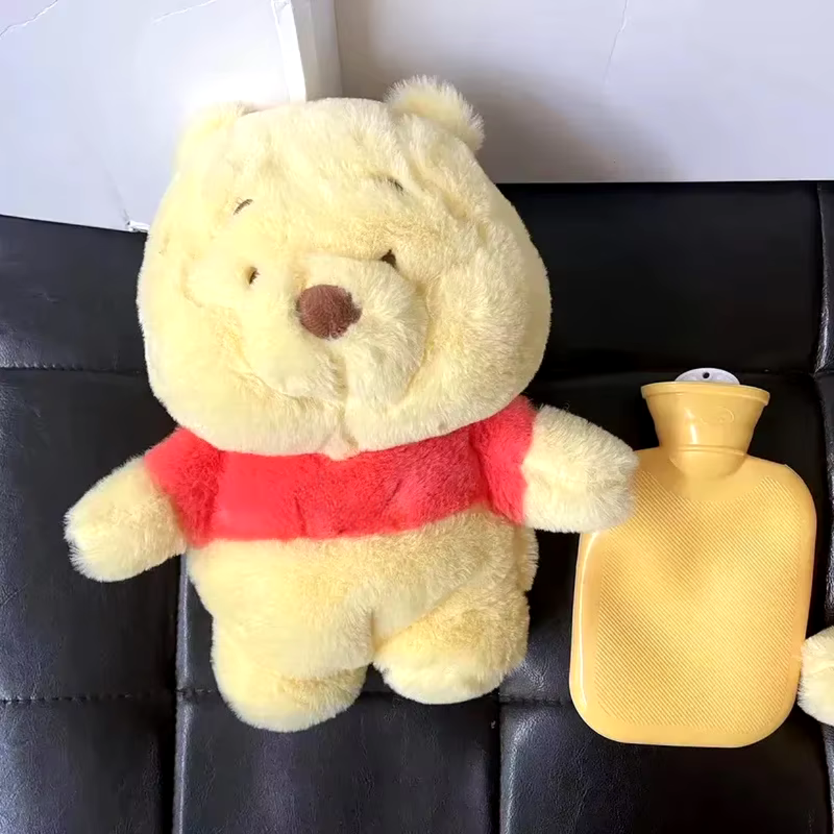 PLUSH BEAR WITH HOT WATER BAG