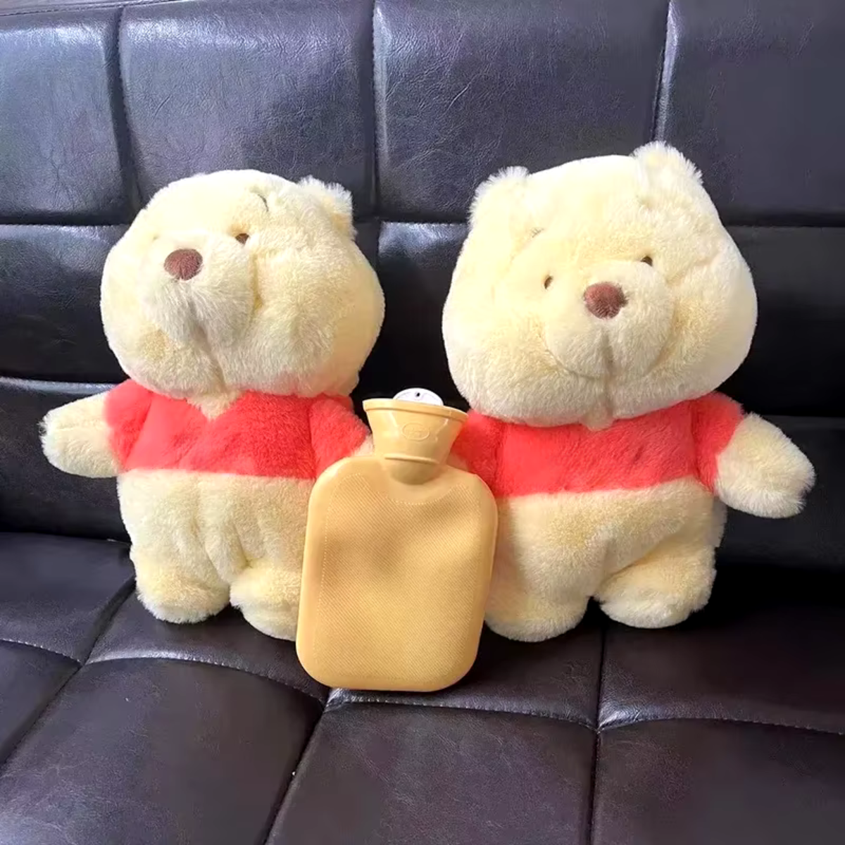 PLUSH BEAR WITH HOT WATER BAG