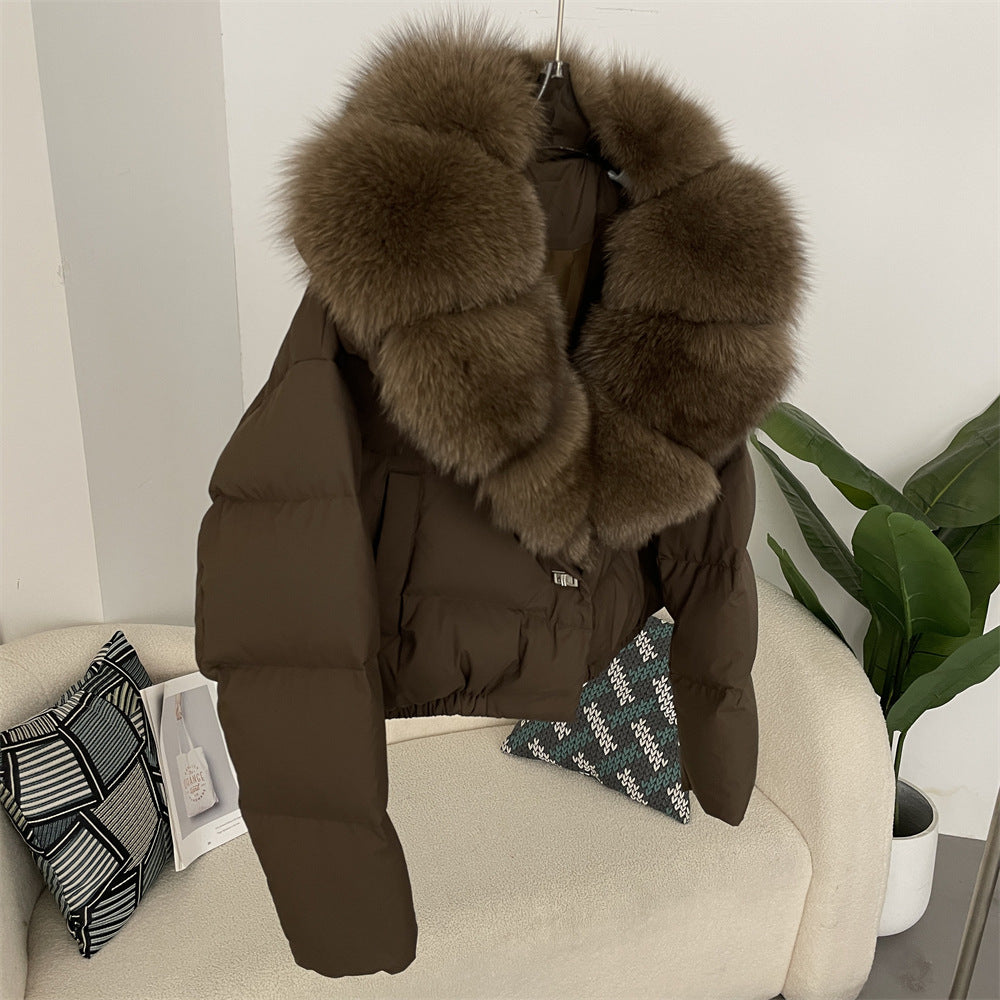 Short Warm Jacket - Women's Fashion