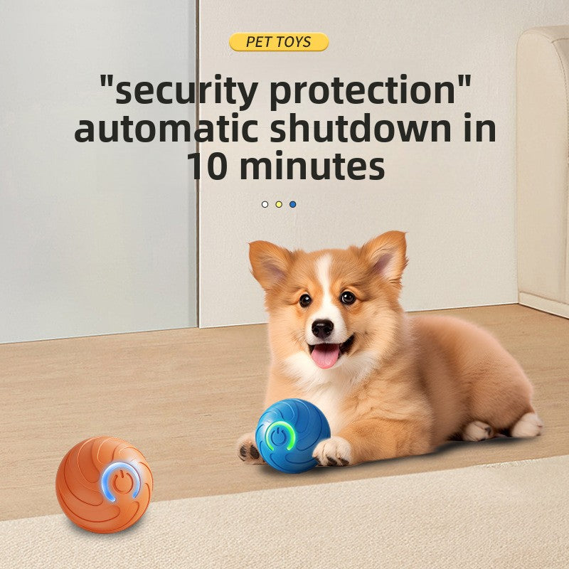 Miniature Automatic Pet Ball