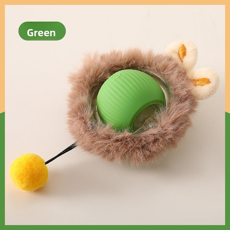 Cat teaser toy ball