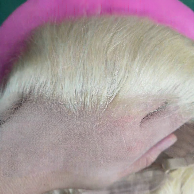 Real Human Hair - Lace wig