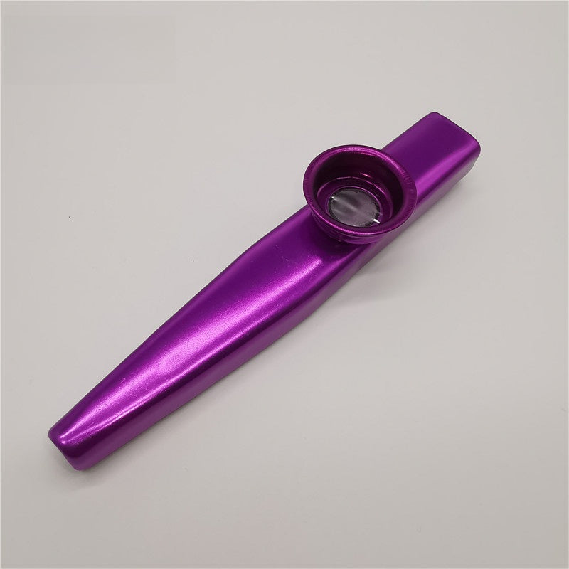 Metal Kazoo for Kids, Educational Musical Instrument